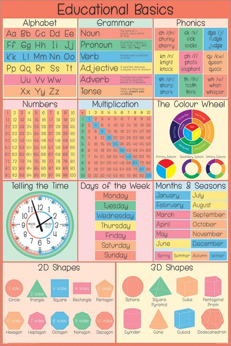 Educational Poster 61 X 91,5 Cm