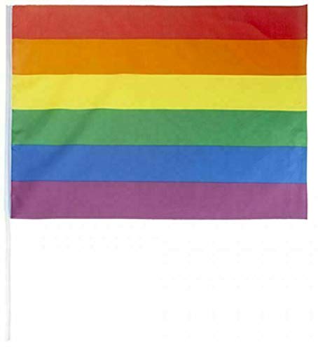 Rainbow Flag Bandiera Arcobaleno 58x38 Cm Con Asta 65 Cm