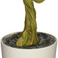 Marvel Guardian Of The Galaxy Grooy Money Bank Salvadanaio