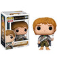 Lotr The Lord Of The Rings Samwise Gamgee Glow In The Dark #445 Pop