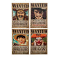 One Piece Magnet Set 4 Calamite