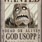 One Piece Wanted New World Usopp Poster 52x35 Cm