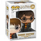 Harry Potter - Harry With Hedwig #31 Pop