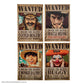 PREORDINE One Piece Set of 4 Magnets Wanted